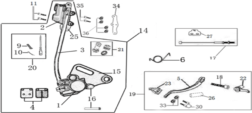 12 Rear Brake