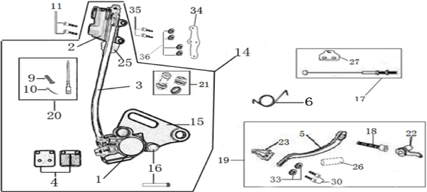 12 Rear Brake
