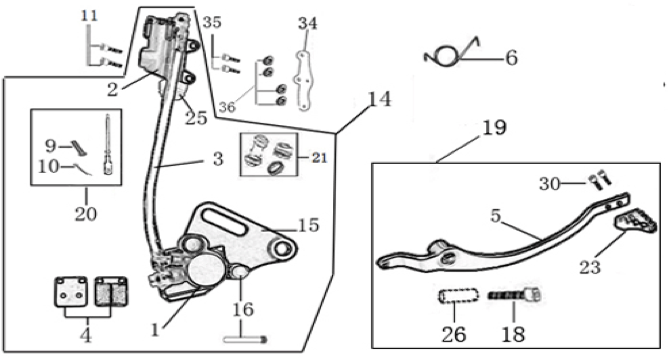 Rear Brake