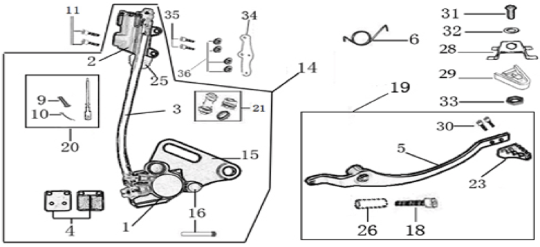 12 Rear Brake