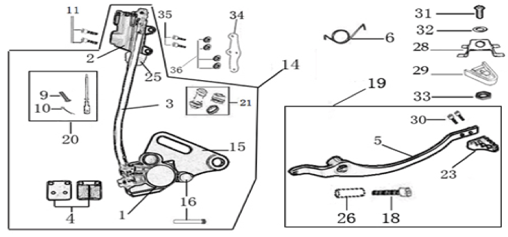 12 Rear Brake