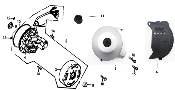 36 Generator / Left Crankcase Cover