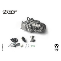 DAYTONA ANIMA FACTORY 190 ENGINE 4V 4 SPEED