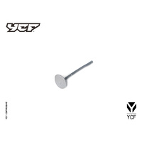 INTAKE VALVE