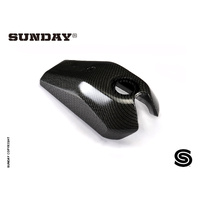 FUEL TANK OUTER CLADDING CARBON FLAT TRACK 2020