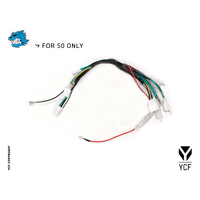 WIRING HARNESS 50A 2020>