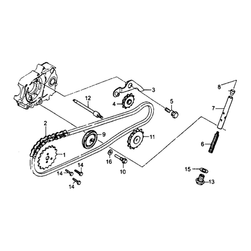 33 Timing Chain & Tensioner