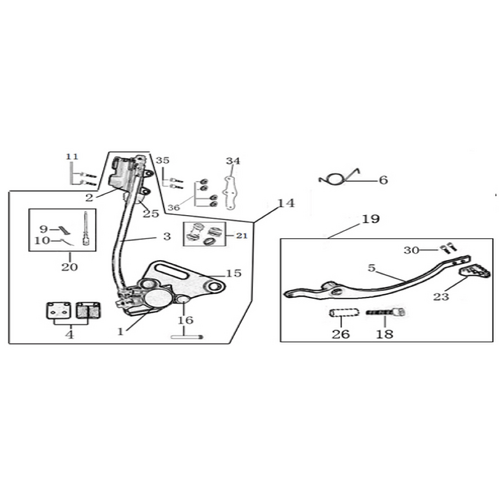 12 Rear Brake