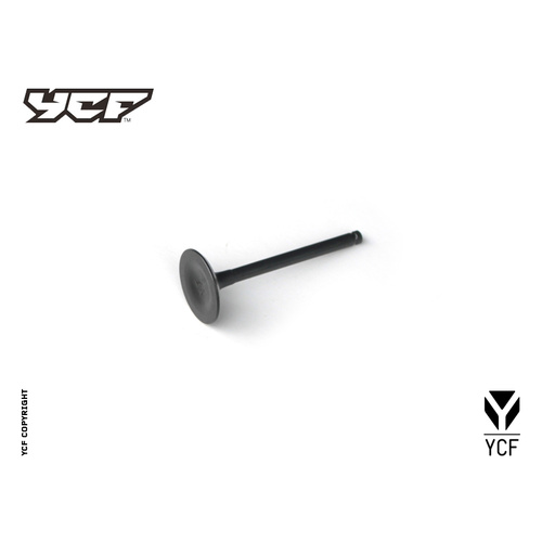 INTAKE VALVE
