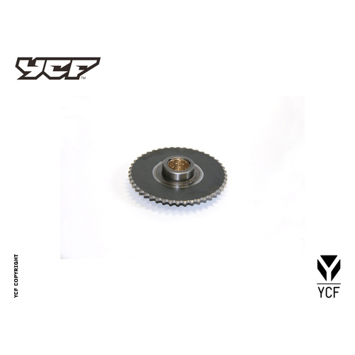 STARTER SPROCKET WITH BEARING (2E KLX)