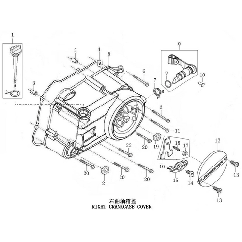 33 Right Crankcase Cover