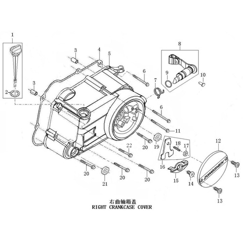 33 Right Crankcase Cover
