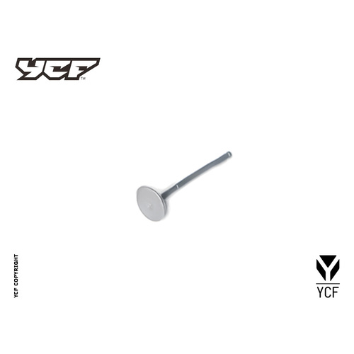 INTAKE VALVE
