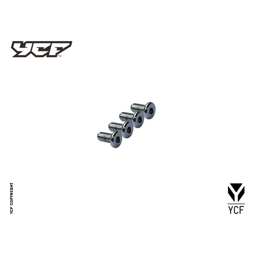 DISC SCREWS KIT (CONTAIN GB70.2-M8X20-CR 4EA)
