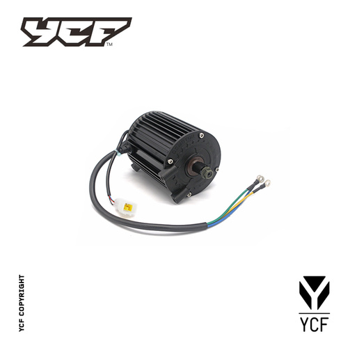 MOTOR ELECTRIC 60V 1000W W88E