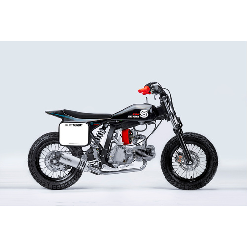 2024 SUNDAY MOTORS S187