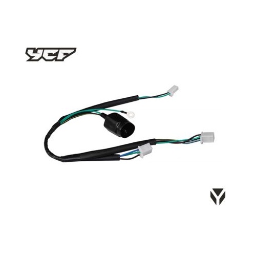 WIRE HARNESS 125CC (NOT WATER PROOF)