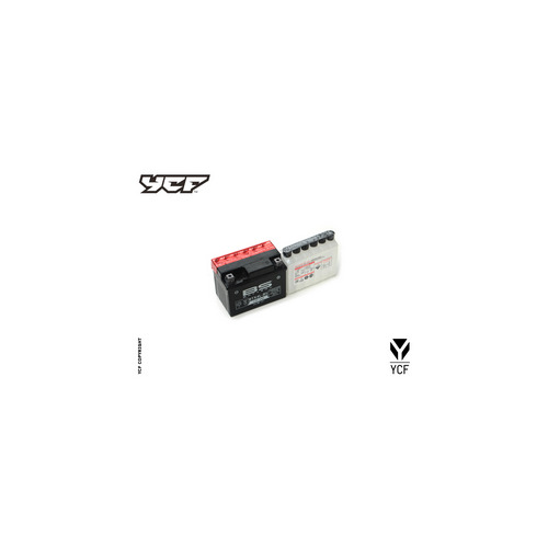 BATTERY 5L 12V/5.5A  (BIGY)