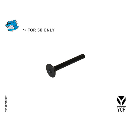 INTAKE VALVE 5.5×16×47.5MM
