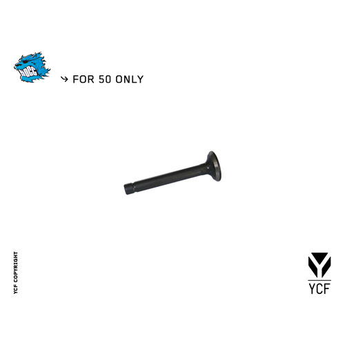 EXHAUST VALVE 5.5×16×47.5MM