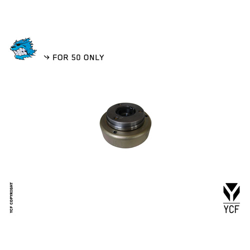 FLYWHEEL ROTOR